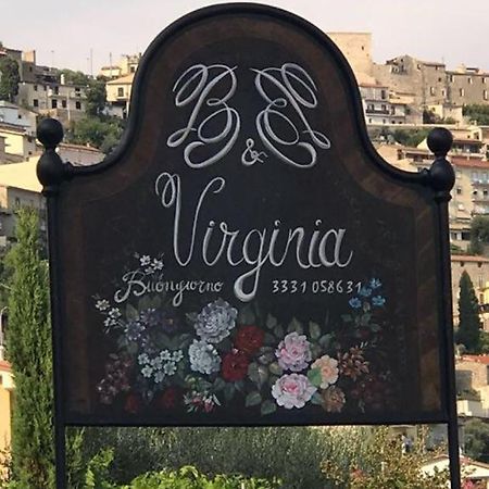 B&B Virginia Monte San Biagio Kültér fotó